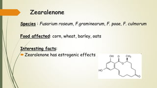 Zearalenone
Species : Fusarium roseum, F.graminearum, F. poae, F. culmorum
Food affected: corn, wheat, barley, oats
Interesting facts:
Zearalenone has estrogenic effects
 
