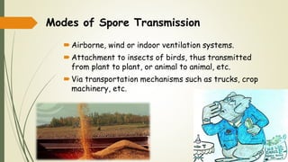 Modes of Spore Transmission
Airborne, wind or indoor ventilation systems.
Attachment to insects of birds, thus transmitted
from plant to plant, or animal to animal, etc.
Via transportation mechanisms such as trucks, crop
machinery, etc.
 