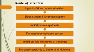 Route of infection
Ingestion/skin contact/ inhalation
Blood stream & lymphatic system
Inhibit protein synthesis
Damage macrophages system
Inhibit particle clearance of the lungs
Increase sensitivity to bacterial endotoxins
 