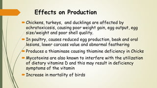 Effects on Production
Chickens, turkeys, and ducklings are affected by
ochratoxicosis, causing poor weight gain, egg output, egg
size/weight and poor shell quality.
In poultry, causes reduced egg production, beak and oral
lesions, lower carcass value and abnormal feathering
Produces a thiaminase causing thiamine deficiency in Chicks
Mycotoxins are also known to interfere with the utilization
of dietary vitamins D and this may result in deficiency
symptoms of the vitamin
Increase in mortality of birds
 