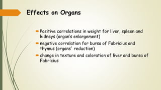 Effects on Organs
Positive correlations in weight for liver, spleen and
kidneys (organ’s enlargement)
negative correlation for bursa of Fabricius and
thymus (organs' reduction)
change in texture and coloration of liver and bursa of
Fabricius
 