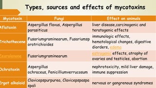 Types, sources and effects of mycotoxins
Mycotoxin Fungi Effect on animals
Aflatoxin
Aspergillus flavus, Aspergillus
parasiticus
liver disease,carcinogenic and
teratogenic effects
Trichothecene
Fusariumgraminearum, Fusariumsp
orotrichioides
immunologic effects,
hematological changes, digestive
diorders, edema
Zearalenone Fusariumgraminearum
estrogenic effects, atrophy of
ovaries and testicles, abortion
Ochratoxin
Aspergillus
ochraceus, Penicilliumverrucosum
nephrotoxicity, mild liver damage,
immune suppression
Ergot alkaloid
Clavicepspurpurea, Clavicepspaspa
spali
nervous or gangrenous syndromes
 