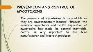PREVENTION AND CONTROL OF
MYCOTOXINS
The presence of mycotoxins is unavoidable as
they are environmentally induced. However, the
economic importance and health implication of
mycotoxins has made its control inevitable.
Control is very important to the feed
manufacturer and livestock producer
 