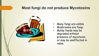 Most fungi do not produce Mycotoxins
• Many fungi are edible
• Mushrooms are fungi
• Moldy feeds may be
degraded without
presence of mycotoxin,
or may be unaffected in
value.
 
