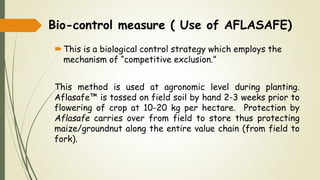 Bio-control measure ( Use of AFLASAFE)
This is a biological control strategy which employs the
mechanism of “competitive exclusion.”
This method is used at agronomic level during planting.
Aflasafe™ is tossed on field soil by hand 2-3 weeks prior to
flowering of crop at 10-20 kg per hectare. Protection by
Aflasafe carries over from field to store thus protecting
maize/groundnut along the entire value chain (from field to
fork).
 