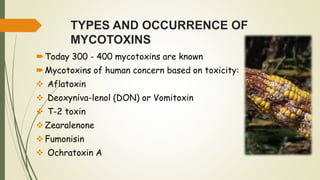 TYPES AND OCCURRENCE OF
MYCOTOXINS
Today 300 - 400 mycotoxins are known
Mycotoxins of human concern based on toxicity:
 Aflatoxin
 Deoxyniva-lenol (DON) or Vomitoxin
 T-2 toxin
Zearalenone
Fumonisin
 Ochratoxin A
 