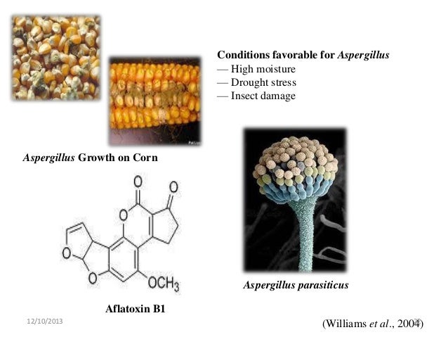 Aflatoxins In Baby Food Aflatoxins In Baby Food