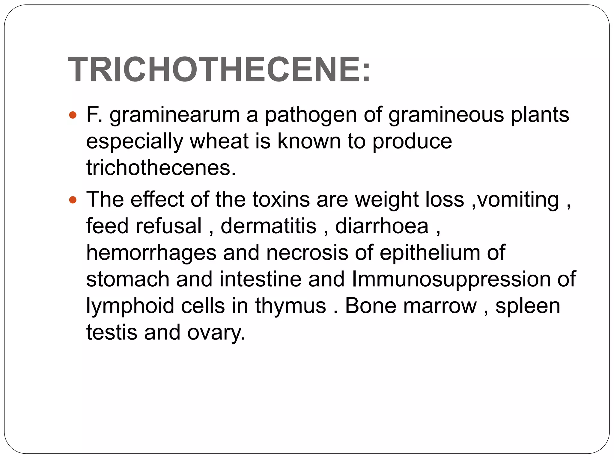 TRICHOTHECENE:
 F. graminearum a pathogen of gramineous plants
especially wheat is known to produce
trichothecenes.
 The effect of the toxins are weight loss ,vomiting ,
feed refusal , dermatitis , diarrhoea ,
hemorrhages and necrosis of epithelium of
stomach and intestine and Immunosuppression of
lymphoid cells in thymus . Bone marrow , spleen
testis and ovary.
 