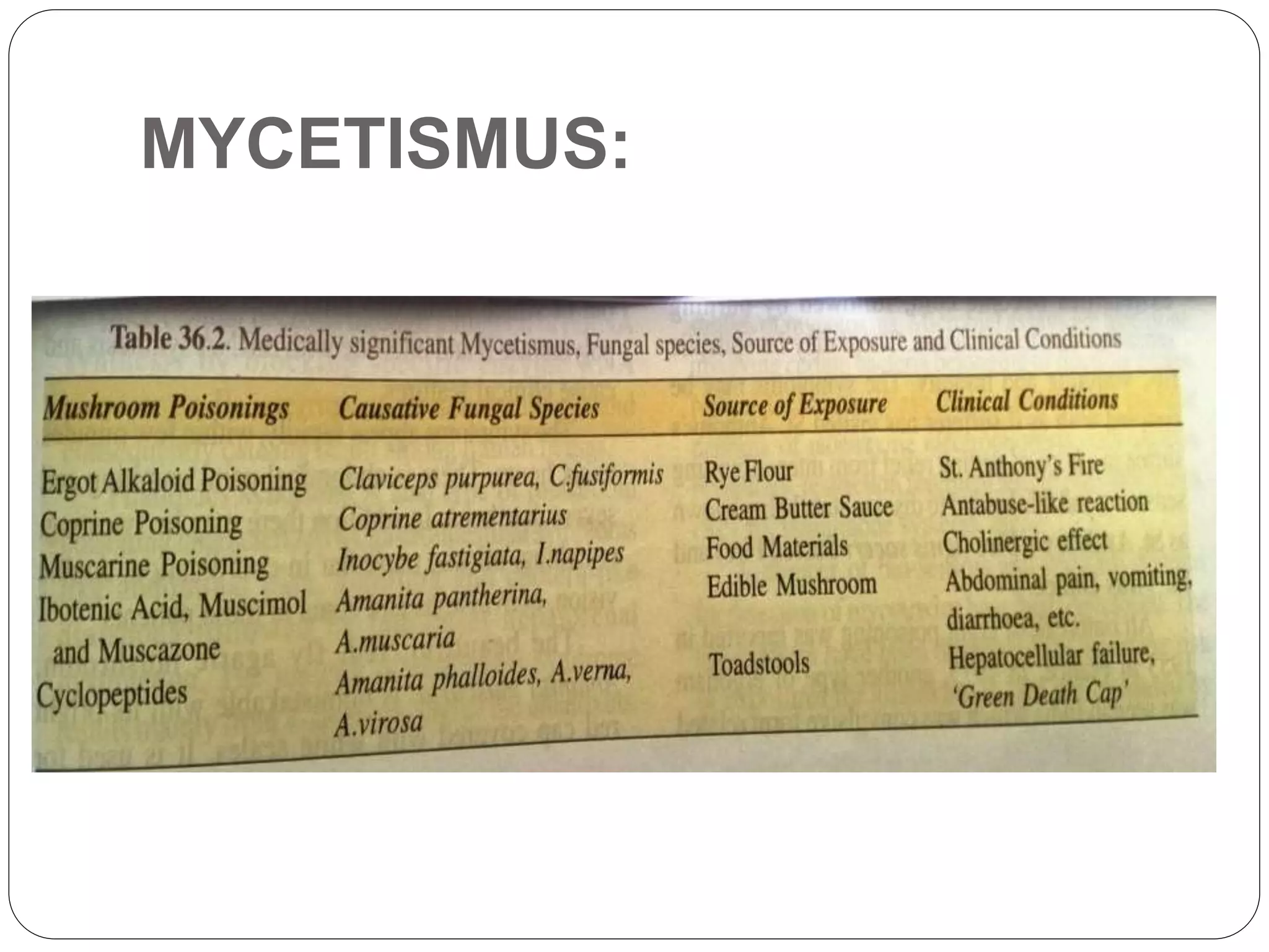 MYCETISMUS:
 