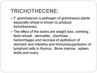TRICHOTHECENE:
 F. graminearum a pathogen of gramineous plants
especially wheat is known to produce
trichothecenes.
 The effect of the toxins are weight loss ,vomiting ,
feed refusal , dermatitis , diarrhoea ,
hemorrhages and necrosis of epithelium of
stomach and intestine and Immunosuppression of
lymphoid cells in thymus . Bone marrow , spleen
testis and ovary.
 