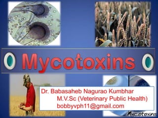 Dr. Babasaheb Nagurao Kumbhar
M.V.Sc (Veterinary Public Health)
bobbyvph11@gmail.com
 