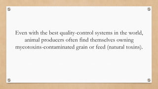 Even with the best quality-control systems in the world,
animal producers often find themselves owning
mycotoxins-contaminated grain or feed (natural toxins).
 