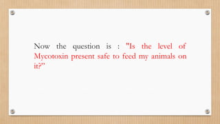 Now the question is : "Is the level of
Mycotoxin present safe to feed my animals on
it?”
 