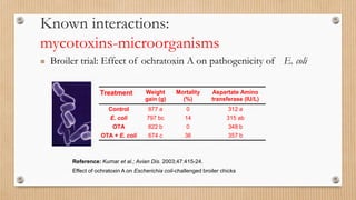 Known interactions:
mycotoxins-microorganisms
Treatment Weight
gain (g)
Mortality
(%)
Aspartate Amino
transferase (IU/L)
Control 977 a 0 312 a
E. coli 797 bc 14 315 ab
OTA 822 b 0 348 b
OTA + E. coli 674 c 36 357 b
Reference: Kumar et al.; Avian Dis. 2003;47:415-24.
Effect of ochratoxin A on Escherichia coli-challenged broiler chicks
 Broiler trial: Effect of ochratoxin A on pathogenicity of E. coli
 