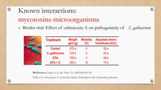 Treatment Weight
gain (g)
Mortality
(%)
Aspartate Amino
transferase (IU/L)
Control 875 a 0 50 a
S. gallinarium 720 b 6 55 a
OTA 700 b 0 68 b
OTA + S. 550 c 15 73 b
Reference: Gupta et al.; Br. Poult. Sci. 2005;46:443-50.
Effect of ochratoxin A on broiler chicks challenged with Salmonella gallinarum.
Known interactions:
mycotoxins-microorganisms
 Broiler trial: Effect of ochratoxin A on pathogenicity of S. gallinarium
 