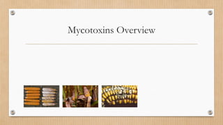 Mycotoxins Overview
 