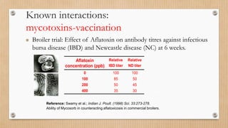 Reference: Swamy et al.; Indian J. Poult. (1998) Sci. 33:273-278.
Ability of Mycosorb in counteracting aflatoxicosis in commercial broilers.
Aflatoxin
concentration (ppb)
Relative
IBD titer
Relative
ND titer
0 100 100
100 85 50
200 50 45
400 35 30
 Broiler trial: Effect of Aflatoxin on antibody titres against infectious
bursa disease (IBD) and Newcastle disease (NC) at 6 weeks.
Known interactions:
mycotoxins-vaccination
 