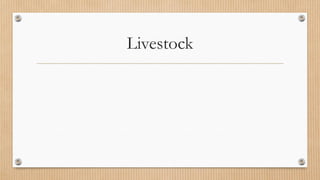 Livestock
 