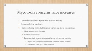 Mycotoxin concerns have increases
• Learned more about mycotoxins & their toxicity.
• Better analytical methods.
• High producing cows, buffaloes & Calves are more susceptible:
• More stress – more diseases
• Nutrient deficiencies
• Low ruminal mycotoxin degradation – increase toxicity
• Higher feed (and grain) consumption – increase rumen turnover
• Lower fiber – low pH – fewer protozoa
 