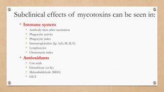 Subclinical effects of mycotoxins can be seen in:
• Immune system
• Antibody titers after vaccination
• Phagocytic activity
• Phagocytic index
• Immunoglobulins (Ig: A,G, M, D, E)
• Lymphocytes
• Chemotactic index
• Antioxidants
• Uric acids
• Glutathione (or Se)
• Malondialdehyde (MDA)
• GGT
 