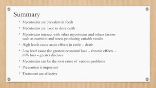 Summary
• Mycotoxins are prevalent in feeds
• Mycotoxins are toxic to dairy cattle
• Mycotoxins interact with other mycotoxins and others factors
such as nutrition and stress producing variable results
• High levels cause acute effects in cattle – death
• Low level cause the greatest economic loss – chronic effects –
milk loss – greater diseases
• Mycotoxins can be the root cause of various problems
• Prevention is important
• Treatment are effective
 