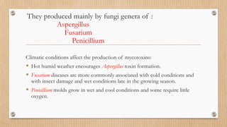 They produced mainly by fungi genera of :
Aspergillus
Fusarium
Penicillium
Climatic conditions affect the production of mycotoxins:
 Hot humid weather encourages Aspergillus toxin formation.
 Fusarium diseases are more commonly associated with cold conditions and
with insect damage and wet conditions late in the growing season.
 Penicillium molds grow in wet and cool conditions and some require little
oxygen.
 