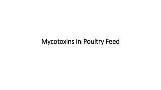 Mycotoxins in Poultry Feed
 