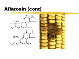 Mycotoxins in Food Chain, Animal Health and Contamination Control.ppt