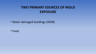 • Water damaged buildings (WDB)
• Food
TWO PRIMARY SOURCES OF MOLD
EXPOSURE
 