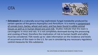 OTA
• Ochratoxin A is a naturally occurring nephrotoxic fungal metabolite produced by
certain species of the genera Aspergillus and Penicillium. It is mainly a contaminant
of cereals (corn, barley, wheat and oats), and has been found in edible animal
tissues as well as in human blood sera and milk. Studies indicate that this toxin is
carcinogenic in mice and rats. It is not completely destroyed during the processing
and cooking of food, therefore the implication of risk to human health and safety
must be considered. FDA needs up-to- date information on the incidence and levels
of occurrence of this toxin in the U.S. for use in considering any necessary regulatory
control measures for this substance.
FDA: MYCOTOXINS IN FOREIGN AND DOMESTIC FOODS FY15/16
 