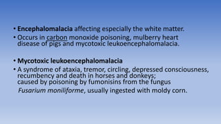 • Encephalomalacia affecting especially the white matter.
• Occurs in carbon monoxide poisoning, mulberry heart
disease of pigs and mycotoxic leukoencephalomalacia.
• Mycotoxic leukoencephalomalacia
• A syndrome of ataxia, tremor, circling, depressed consciousness,
recumbency and death in horses and donkeys;
caused by poisoning by fumonisins from the fungus
Fusarium moniliforme, usually ingested with moldy corn.
 