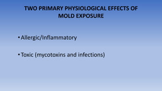 •Allergic/Inflammatory
•Toxic (mycotoxins and infections)
TWO PRIMARY PHYSIOLOGICAL EFFECTS OF
MOLD EXPOSURE
 