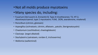 •Not all molds produce mycotoxins
•Many species do, including:
• Fusarium (Verrucarin A, Enniantin B, Type A tricothecenes: T2, HT-2,
diacetoxyscirpenol, type 2 mycotoxins: FUM, DON, zearalenone, nivalenol)
• Penicillium (citrinin, gliotoxin)
• Aspergillus (ochratoxin, citrinin, aflatoxin., patulin, Sterigmatocystin)
• Chaetonium (cochliodinol, chaetoglobosin)
• Claviceps (ergot alkaloid)
• Stachybotris (satratoxin, roriden E, trichoverrins)
• Wallemia (walleminol)
 