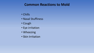 Common Reactions to Mold
• Chills
• Nasal Stuffiness
• Cough
• Eye irritation
• Wheezing
• Skin Irritation
 