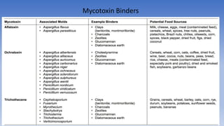 Mycotoxin Binders
 