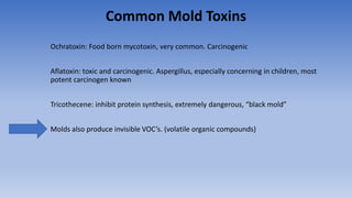 Common Mold Toxins
Ochratoxin: Food born mycotoxin, very common. Carcinogenic
Aflatoxin: toxic and carcinogenic. Aspergillus, especially concerning in children, most
potent carcinogen known
Tricothecene: inhibit protein synthesis, extremely dangerous, “black mold”
Molds also produce invisible VOC’s. (volatile organic compounds)
 