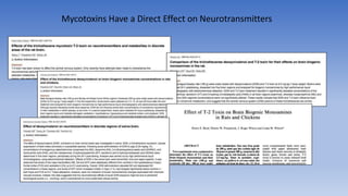 Mycotoxins Have a Direct Effect on Neurotransmitters
 