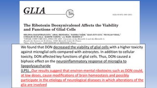 We found that DON decreased the viability of glial cells with a higher toxicity
against microglial cells compared with astrocytes. In addition to cellular
toxicity, DON affected key functions of glial cells. Thus, DON caused a
biphasic effect on the neuroinﬂammatory response of microglia to
lipopolysaccharide
(LPS)…Our results suggest that environ-mental ribotoxins such as DON could,
at low doses, cause modiﬁcations of brain homeostasis and possibly
participate in the etiology of neurological diseases in which alterations of the
glia are involved.
 