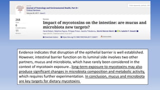 Evidence indicates that disruption of the epithelial barrier is well established.
However, intestinal barrier function on its luminal side involves two other
partners, mucus and microbiota, which have rarely been considered in the
context of mycotoxin exposure…long-term exposure to mycotoxins may also
produce significant changes in microbiota composition and metabolic activity,
which requires further experimentation. In conclusion, mucus and microbiota
are key targets for dietary mycotoxins
 