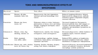 TOXIC AND IMMUNOSUPRESSEVE EFFECTS OF
MYCOTOXINS
 