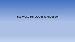 YES MOLD IN FOOD IS A PROBLEM!
 