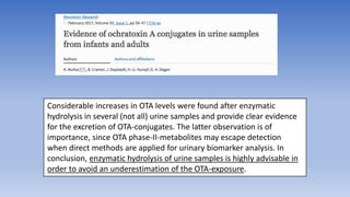 Considerable increases in OTA levels were found after enzymatic
hydrolysis in several (not all) urine samples and provide clear evidence
for the excretion of OTA-conjugates. The latter observation is of
importance, since OTA phase-II-metabolites may escape detection
when direct methods are applied for urinary biomarker analysis. In
conclusion, enzymatic hydrolysis of urine samples is highly advisable in
order to avoid an underestimation of the OTA-exposure.
 