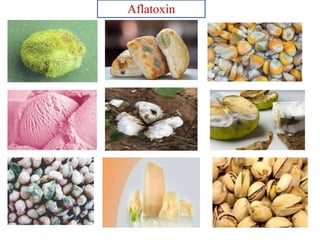 Mycotoxins general account, types & importance | PPTX