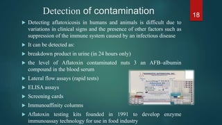 Mycotoxins types and characterization