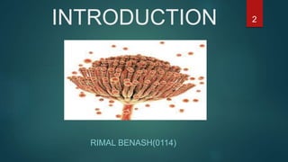 Mycotoxins types and characterization