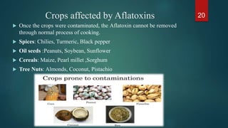 Mycotoxins types and characterization