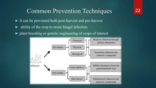 Mycotoxins types and characterization
