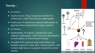 Mycotoxins types and characterization