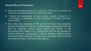 Mycotoxins types and characterization