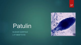 Mycotoxins types and characterization